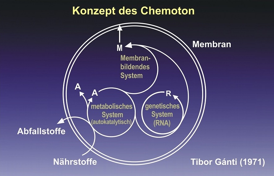 Konzept des Chemoton: Wie viele Gene braucht die Zelle?