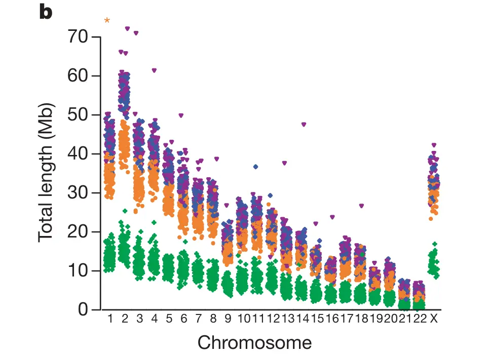 Chromosomen